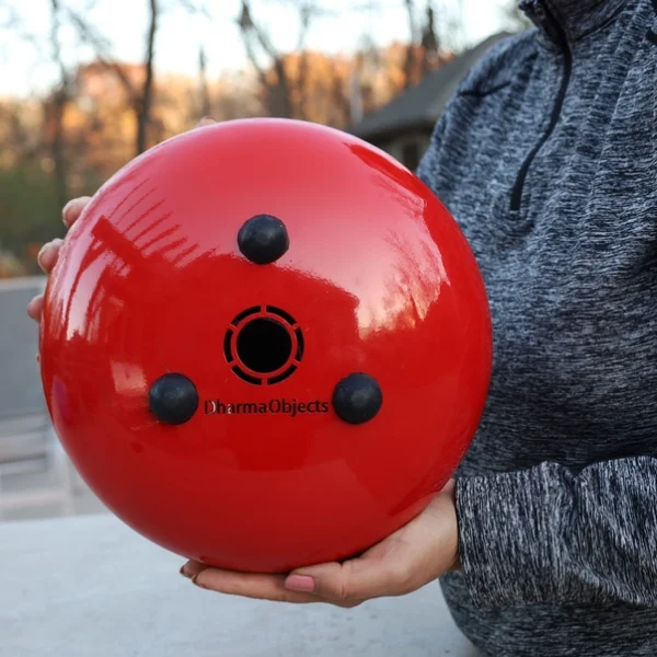 Chakra Steel Tongue Drum 10 Inches Tank Drum, Handpan Drum, Percussion with Padded Travel Bag and Mallets