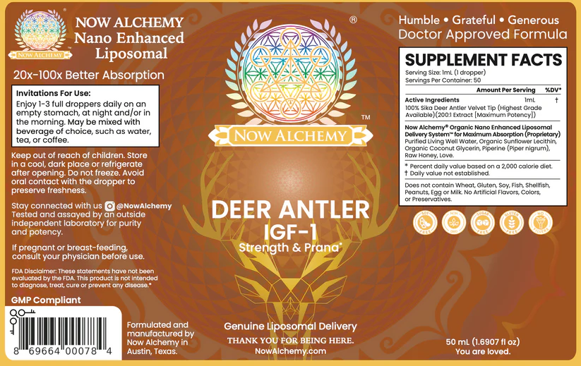 Deer Antler - Image 2