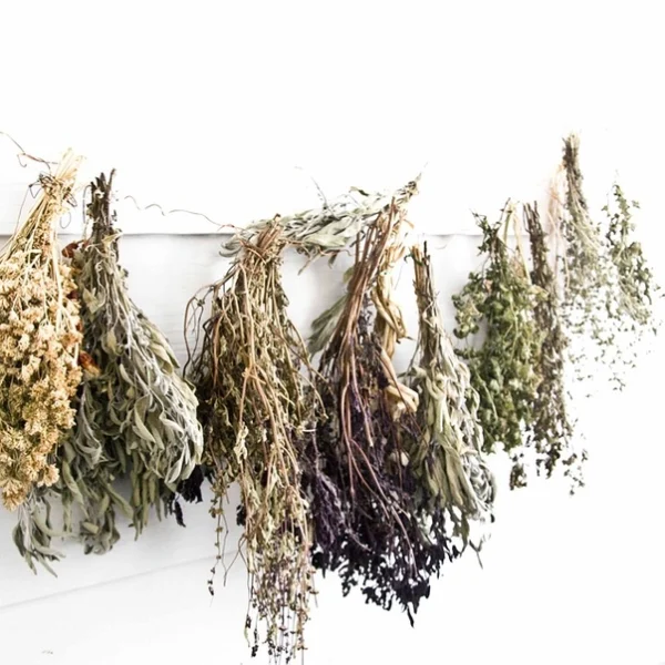 High John Herb Packet – Love, Money, Happiness, Success