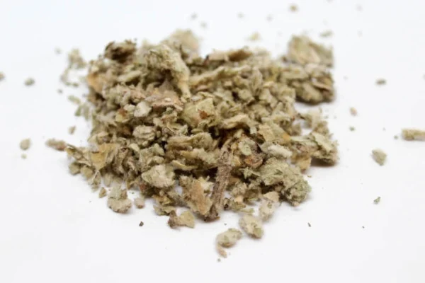 Mullein