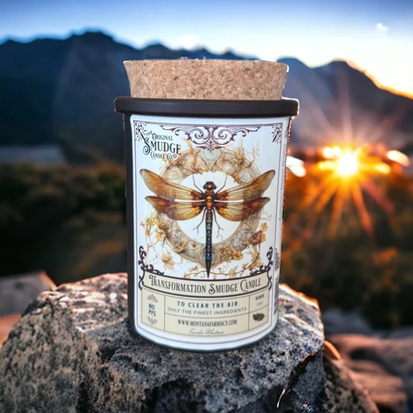 Transformation Dragonfly  Orig Smudge Candle Space Clearing