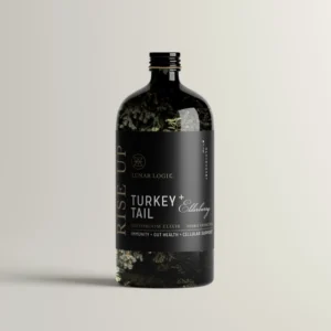 Rise Up / Turkey Tail + Elderberry Mushroom Elixir
