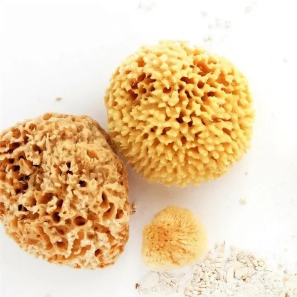 Natural Sea Sponge – Plastic Free Organic Sea Sponge