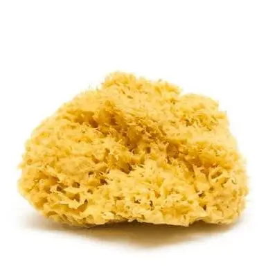Natural Sea Sponge – Plastic Free Organic Sea Sponge